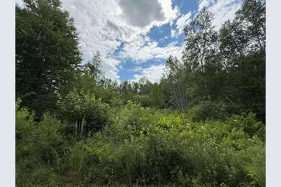 Map 24 Old County Road, Charlotte, ME 04666 - Photo 32