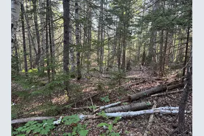 00 Pine Tree Lane, Boothbay, ME 04537 - Photo 6