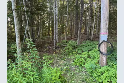 00 Pine Tree Lane, Boothbay, ME 04537 - Photo 4