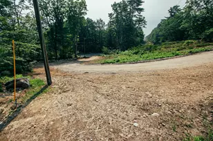 64 N, Limington, ME 04049 - Photo 8