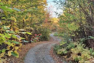 Lot 2 Morrison Brook Acres, Oakfield, ME 04763 - Photo 14