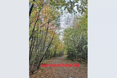 Lot 2 Morrison Brook Acres, Oakfield, ME 04763 - Photo 16