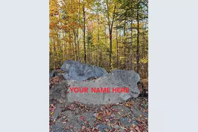 Lot 2 Morrison Brook Acres, Oakfield, ME 04763 - Photo 10
