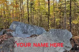 Lot 2 Morrison Brook Acres, Oakfield, ME 04763 - Photo 10