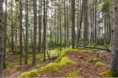 M3-2A Oceanville Road, Stonington, ME 04681 - Photo 24
