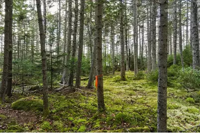 M3-2A Oceanville Road, Stonington, ME 04681 - Photo 4