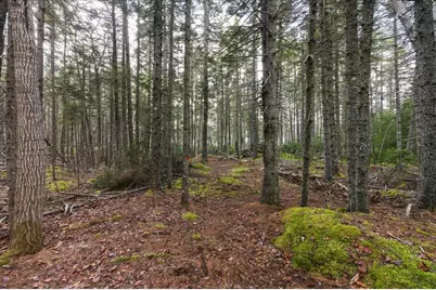M3-2A Oceanville Road, Stonington, ME 04681 - Photo 26