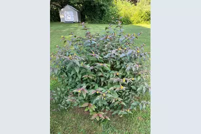 1 Karen Street, Palmyra, ME 04965 - Photo 62