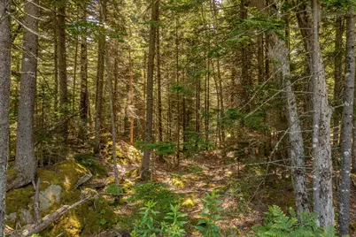 767 Port Clyde Road, Saint George, ME 04860 - Photo 74