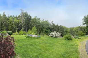 767 Port Clyde Rd, Saint George, ME 04860 - Photo 12
