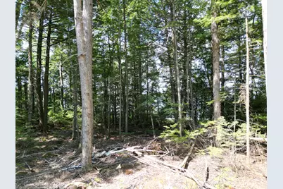 Lot 1 Upper Sunset Shores, Lincoln, ME 04457 - Photo 4