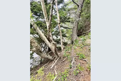 1 Sunset Drive, Eastport, ME 04631 - Photo 10