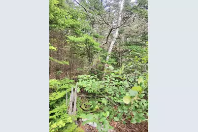1 Sunset Drive, Eastport, ME 04631 - Photo 8