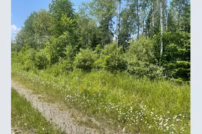 Lot 42 Lombard Road, Caribou, ME 04736 - Photo 4