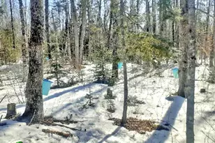 808 Skedgell Rd, Cary, ME 04471 - Photo 94