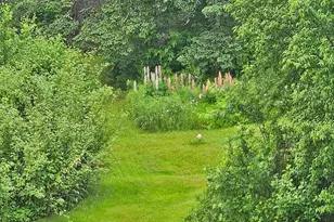 808 Skedgell Rd, Cary, ME 04471 - Photo 40
