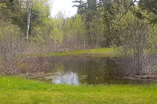 808 Skedgell Rd, Cary, ME 04471 - Photo 100