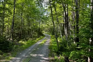 216 White House Hill Rd, Brighton Plt, ME 04912 - Photo 32