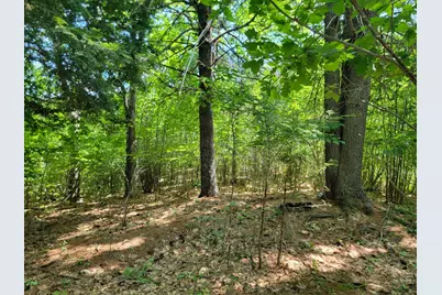 473 Davenport Hill Road, Jay, ME 04239 - Photo 34