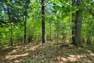 473 Davenport Hill Rd, Jay, ME 04239 - Photo 34