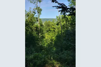 473 Davenport Hill Road, Jay, ME 04239 - Photo 60