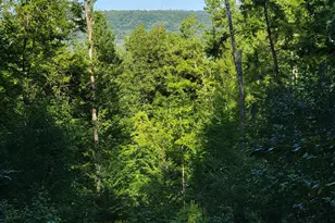 473 Davenport Hill Rd, Jay, ME 04239 - Photo 60