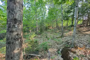 473 Davenport Hill Rd, Jay, ME 04239 - Photo 38
