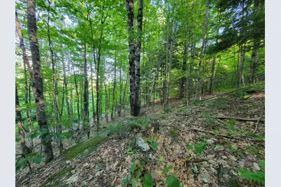 473 Davenport Hill Road, Jay, ME 04239 - Photo 40