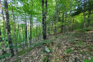 473 Davenport Hill Rd, Jay, ME 04239 - Photo 40