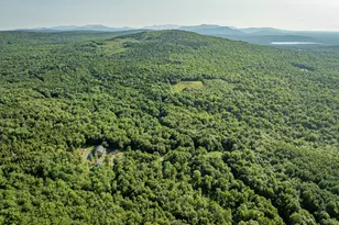 424 Jackson Brk Ln, Monson, ME 04464 - Photo 6