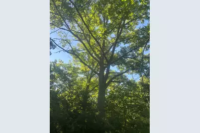 Map5/Lot53 Bangor Road, Troy, ME 04987 - Photo 10