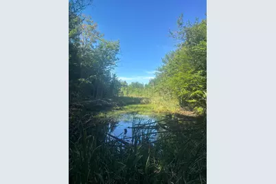 Map5/Lot53 Bangor Road, Troy, ME 04987 - Photo 4
