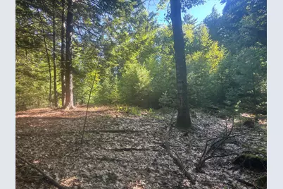 Map5/Lot53 Bangor Road, Troy, ME 04987 - Photo 2