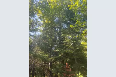 Map5/Lot53 Bangor Road, Troy, ME 04987 - Photo 6