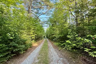 Tbd Democrat Ridge Rd, Talmadge, ME 04492 - Photo 28