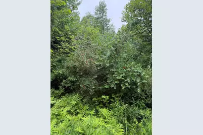 4 Kolm Lane, Sebec, ME 04481 - Photo 6