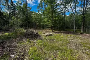 Lot #10 Russell Hill Rd, Bucksport, ME 04416 - Photo 1