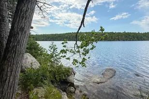Lot 7 Bill Green Pond Rd, T3 R1 Nbpp, ME 04455 - Photo 22