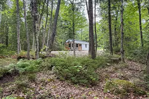 Lot 7 Bill Green Pond Rd, T3 R1 Nbpp, ME 04455 - Photo 12
