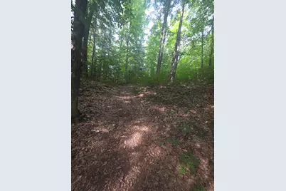Lot 1-1A Madison Road, Norridgewock, ME 04957 - Photo 4