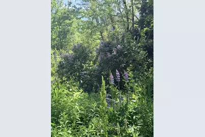 1769 Washington Road, Waldoboro, ME 04572 - Photo 2