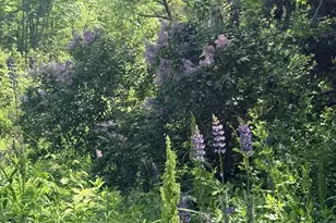 1769 Washington Rd, Waldoboro, ME 04572 - Photo 2