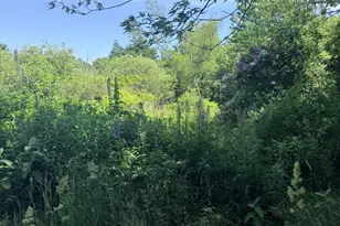 1769 Washington Rd, Waldoboro, ME 04572 - Photo 4