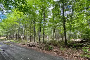 77 Orchard Rd, Guilford, ME 04443 - Photo 1