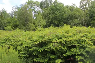 1093 Aroostook Scenic Hwy, Moro Plantation, ME 04780 - Photo 1