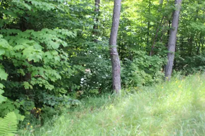1093 Aroostook Scenic Highway, Moro Plantation, ME 04780 - Photo 4