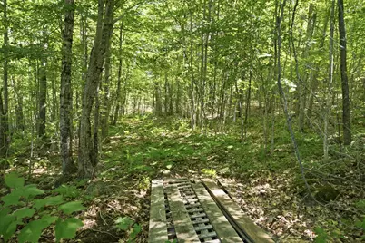 29 Griffin Mountain Road, New Vineyard, ME 04956 - Photo 58
