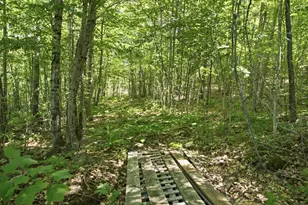 29 Griffin Mountain Rd, New Vineyard, ME 04956 - Photo 58