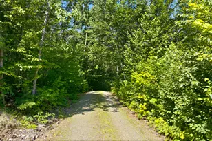 29 Griffin Mountain Rd, New Vineyard, ME 04956 - Photo 56