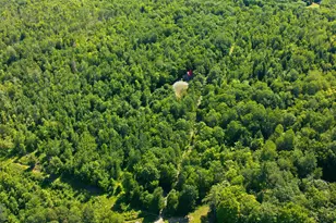 29 Griffin Mountain Rd, New Vineyard, ME 04956 - Photo 14